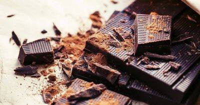 Ученые обнаружили еще одну пользу черного шоколада