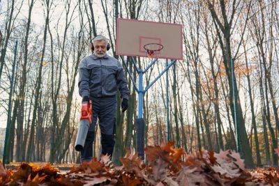 Что делать с листьями осенью если не сжигать - apostrophe.ua - Украина