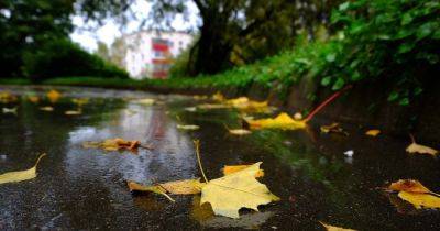 Погода на 15 ноября: по всей Украине пройдут дожди, местами гололед (КАРТА)