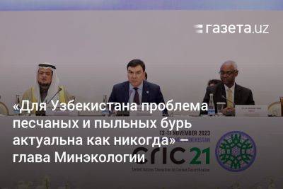 «Для Узбекистана проблема песчаных и пыльных бурь актуальна как никогда» — глава Минэкологии