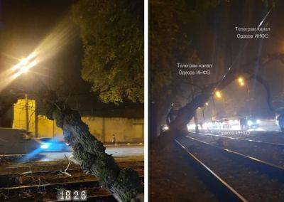 В Одессе 15 ноября не ходят 7 и 13 трамвай - упало дерево | Новости Одессы