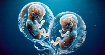 1 случай на 50 миллионов: у американки с двойной маткой зародились сразу два эмбриона