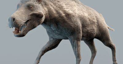 Энтелодонты: что известно об адских свиньях, которые исчезли миллионы лет назад
