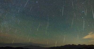Один из самых быстрых метеорных потоков в 2023 году: когда можно увидеть Леониды (фото)