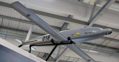 Впервые в мире: Израиль может объединить дроны-камикадзе SkyStriker и РСЗО, — Janes - focus.ua - Украина - Англия - Израиль - Таиланд - Тайвань