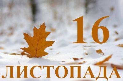 Сегодня 16 ноября: какой праздник и день в истории