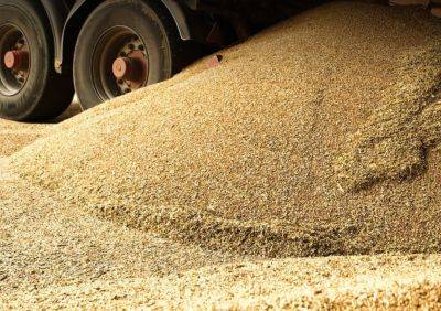Экспорт зерна из Украины – почему валюта от продаж оседает за границей – детали схемы