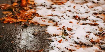 В Украине ожидается мокрый снег: с каких регионов зайдет непогода