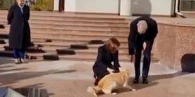 Президента Австрии в Кишиневе покусала собака Майи Санду: появилось видео