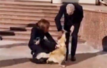 Собака президента Молдовы покусала главу Австрии: СМИ показали видео