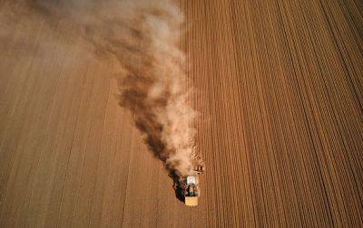 Более 20% экспорта зерна из Украины осуществляют рисковые предприятия - БЭБ - korrespondent.net - Китай - Украина - Аграрии