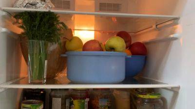 Придется выбросить в мусорное ведро: какие продукты нельзя хранить в дверце холодильника