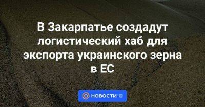 В Закарпатье создадут логистический хаб для экспорта украинского зерна в ЕС