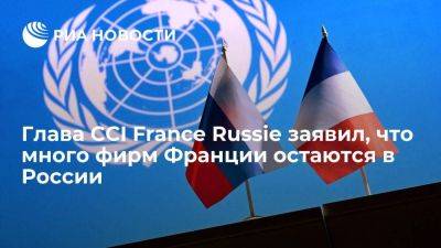 Шинский: вопреки давлению Запада, много компаний Франции остаются в России