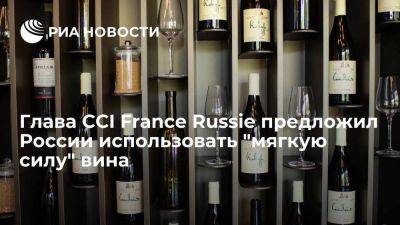 Шинский: России и Франции надо использовать в своих связях "мягкую силу" вина