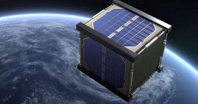 NASA и Япония хотят запустить в космос деревянный спутник: подробности проекта - dsnews.ua - США - Украина - Япония