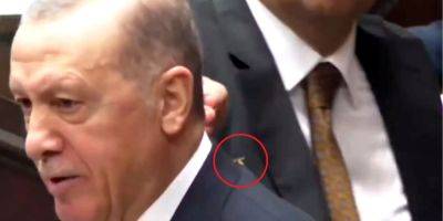 Настоящий профессионал. Охранник Эрдогана спас его от осы — видео