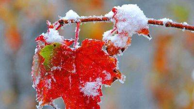 Погода 18-19 ноября - синоптики прогнозируют первый снег в Украине