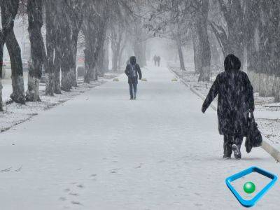 Сильный снег, покров до 10-15 см: в Харькове резко изменится погода