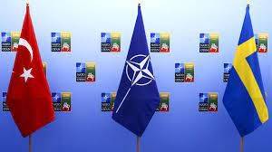 Швеция может стать членом НАТО до конца 2023 года