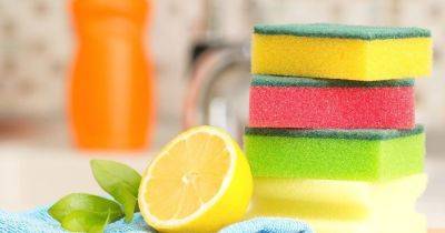 Красные, желтые и зеленые: что означает цвет губок для мытья посуды. Вы об этом не знали
