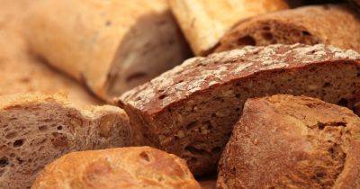 Вредно для здоровья: эти продукты категорически не могут есть с хлебом.