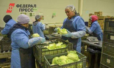 Калининградская область обеспечена своими овощами только на 57 %: чего не хватает