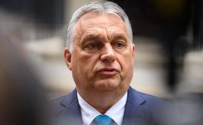 Виктор Орбан обвинил Украину в нарушении прав закарпатских венгров – детали