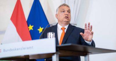 Вступление в ЕС – в Венгрии запустили опрос о вступлении Украины в ЕС