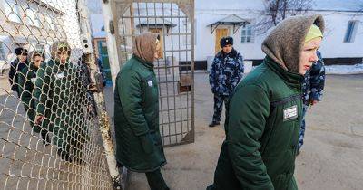 Ребенок в обмен на свободу: в России предложили новую инициативу для заключенных женщин