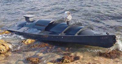 Драйверы нового типа морской войны: в ВМС Украины отметили эффективность борьбы с кораблями РФ