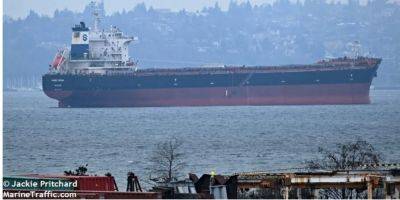 Зерновоз наткнулся на морскую мину возле украинского порта — Reuters