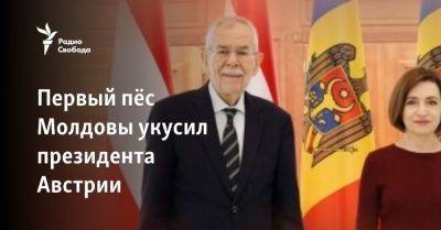 Первый пёс Молдовы укусил президента Австрии