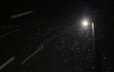 Первый снег во Львове и области - фото и видео снегопада 18 ноября