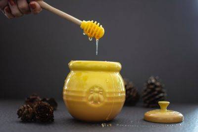 Польза и вред меда - полезные свойства и кому нельзя его есть рассказал диетолог - apostrophe.ua - Украина