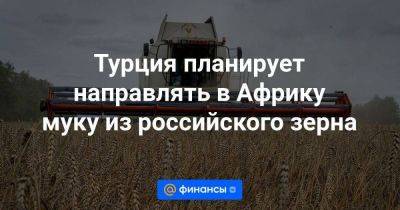 Турция планирует направлять в Африку муку из российского зерна