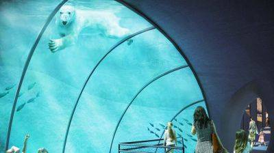 Прага одобрила строительство нового павильона белых медведей