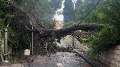 Буря в Израиле: деревья и краны падают, электричество отключается, дороги опасны
