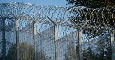 Забор длиной 180 км: армия Латвии построит инфраструктуру безопасности на границе с РФ