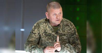Количество призывников недостаточно: Залужный выступил за расширение мобилизации в Украине
