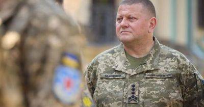Затянется на годы и истощает Украину: Залужный о рисках окопной войны
