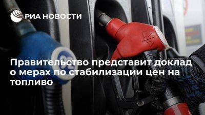 Путин до 10 ноября ожидает доклад о мерах по стабилизации цен на топливо