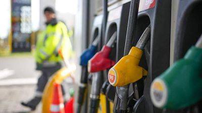 Путин поручил правительству принять меры по стабилизации цен на бензин и дизель