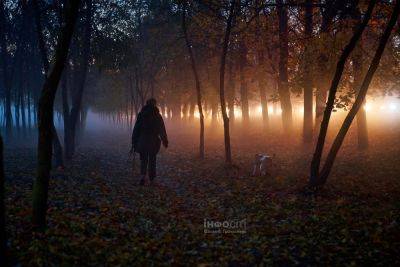 Сильный туман и дождь. Прогноз погоды в Харькове и области на 3 ноября