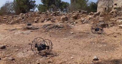 Индийские военные получат гибридные "дроны-петухи": что они умеют (видео)