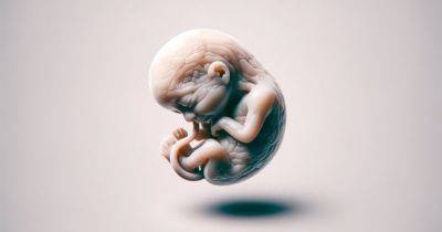 Шаг в будущее: в Австралии родилась первая девочка, зачатая с помощью альтернативы ЭКО