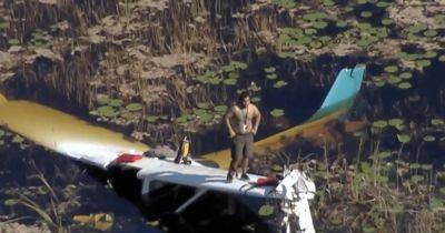 Пилот разбил самолет и провел ночь в болоте с аллигаторами (видео)