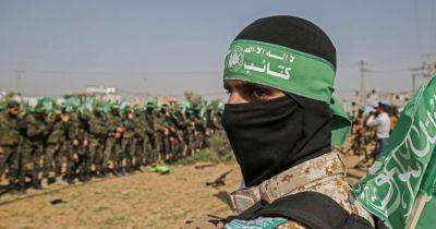 Прогресс в Газе: почему ХАМАС избегает решающей битвы с израильской армией, — ВВС