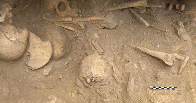 Клад народа облаков: археологи нашли гробницу исчезнувшей цивилизации (фото)