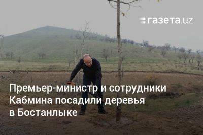 Премьер-министр и сотрудники Кабмина Узбекистана посадили деревья в Бостанлыке